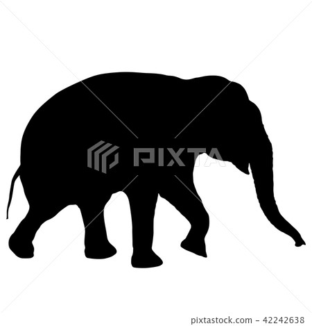 插图素材: silhouette large african elephant on a white