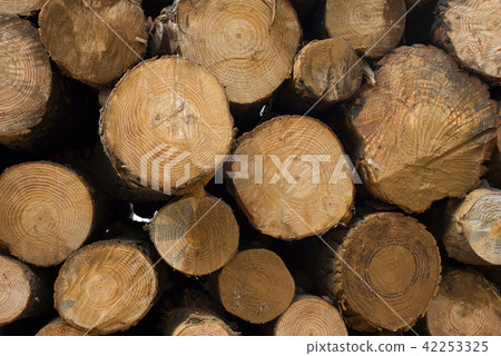 图库照片: wood log texture of wooden tree trunks 查看全部