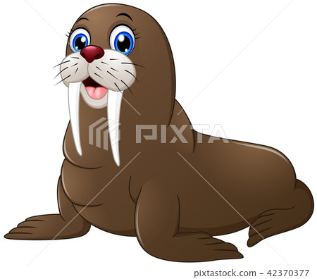 插图素材 cute walrus cartoon