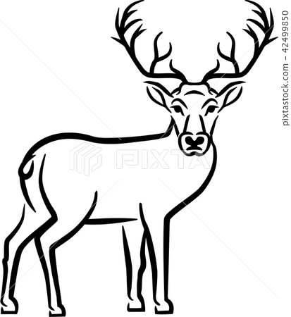 插图素材: deer drawn