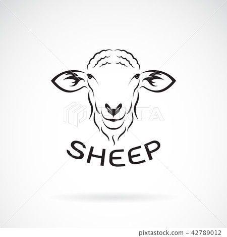 插图素材: vector of sheep head design on white background.