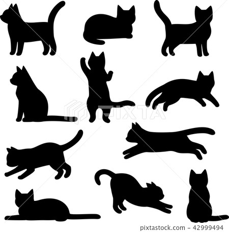 图库插图: 猫 猫咪 小猫