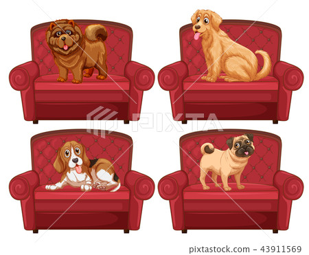 图库插图: dogs on the couch