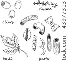 插图素材: hand drawn illustration of pasta ingredients