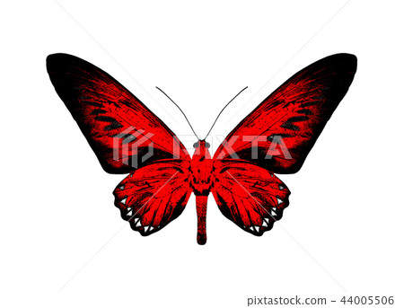 插图素材: silhouette of a red butterfly isolated on white.