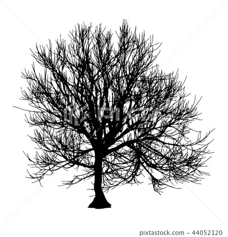 插图素材: black dry tree winter or autumn silhouette on white