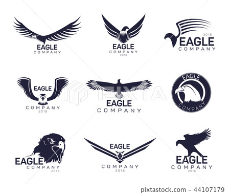 插图素材: eagles or hawk, falcon signs for company brand