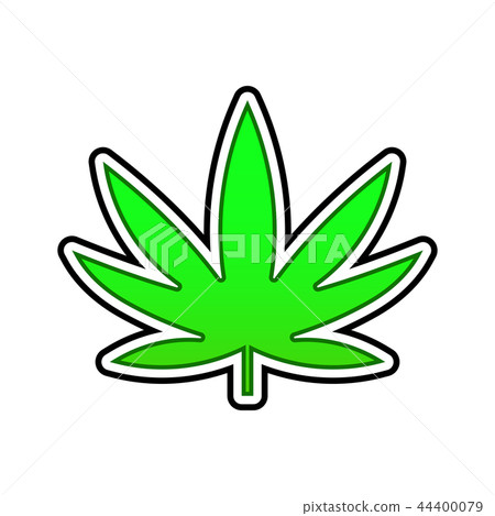 插图素材: medical hemp green leaf on white background.