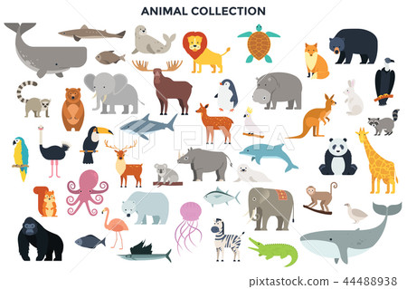 big collection of wild jungle, savannah and forest animals