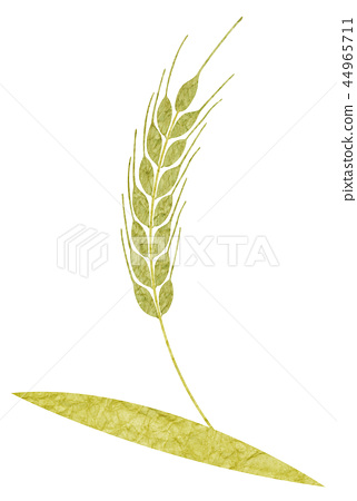图库插图 小麦 大麦 黑麦