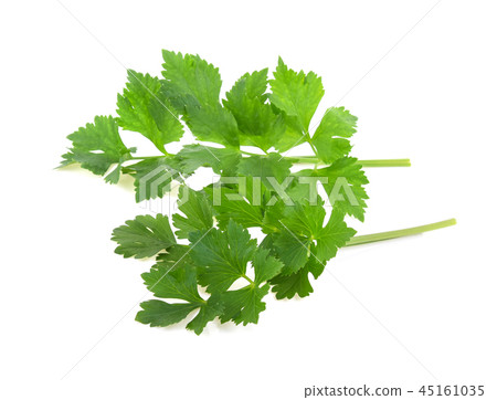 照片素材(图片): celery or parsley leaf isolated on white 查看