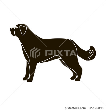 插图素材: st. bernard dog vector icon in black style for web