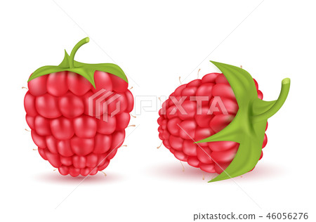 图库插图: red ripe raspberries, summer berry fruit