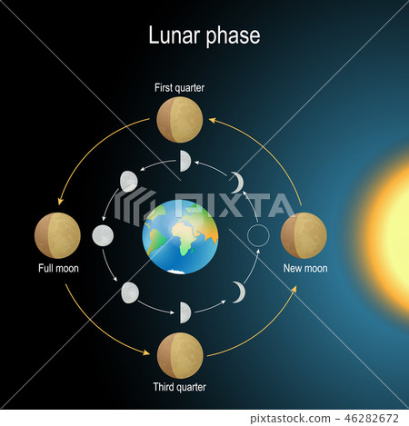 插图素材: lunar phase. phase of the moon