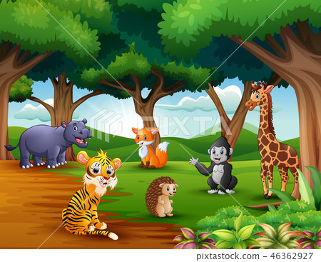 jungle gym cartoon,planecartoon 插图素材: animals cartoon are enjoying nature in the jungle