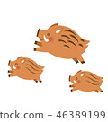 图库插图: three wild boars