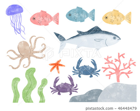 插图素材: 海生物 查看全部