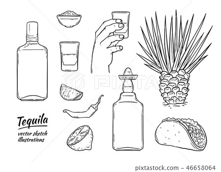 插图素材: vector glass tequila bottle sketch icon isolated