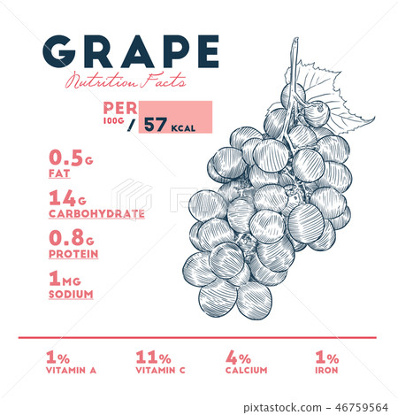 插图素材: nutrition facts of grape, hand draw sketch vector.