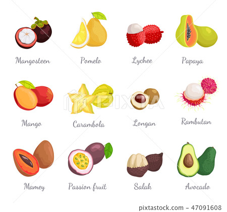 图库插图: mangosteen pomelo papaya carambola fruits vector