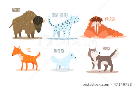arctic animals,arcticanimals 图库插图: collection of arctic animals with names, wisent, snow