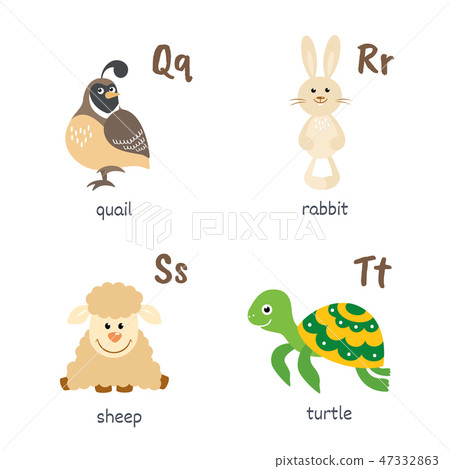图库插图: animal alphabet with quail rabbit sheep turtle