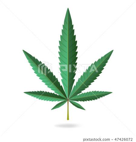 图库插图: green hemp, cannabis leaf icon isolated on white back