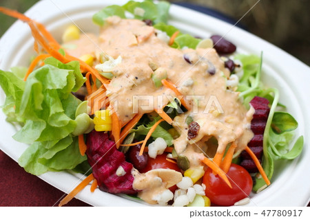 照片素材(图片): vegetable salad with salad dressing, healthy