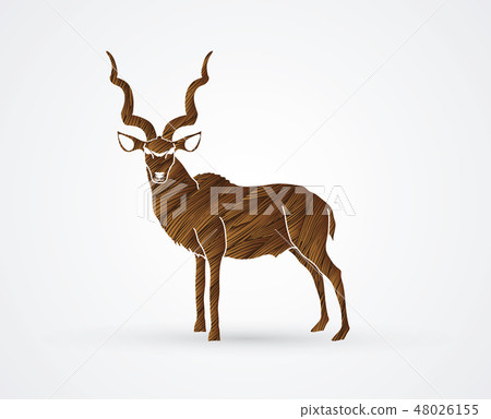 Kudu standing graphic vector 스톡일러스트 48026155 PIXTA