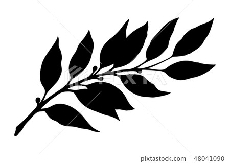 Laurel Branch Silhouette Vector Stock Illustration Pixta