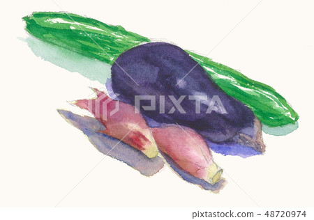 图库插图: 夏天菜水彩例证白矾茄子黄瓜