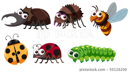 插图素材: different types of insects on white background 查看