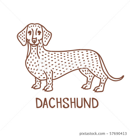 Isolated Dachshund In Hand Drawn Doodle Style Stock Illustration