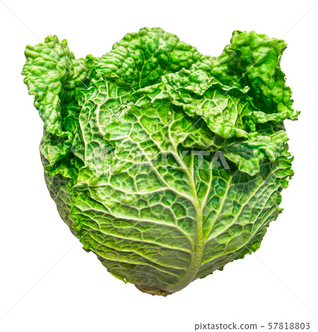 插图素材: savoy cabbage close-up 3d rendering