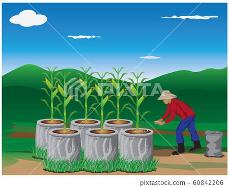 Agriculturist Manure Corn Plant Vector Design Stock Illustration