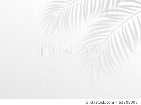 The Transparent Shadow Overlay Effect Tropic Stock Illustration