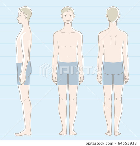 插图素材: 一个人的全身形像有白皮肤的.正面,侧面,背面.