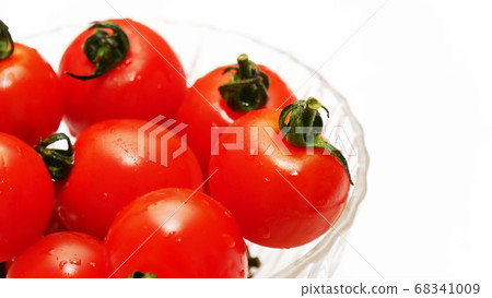 Petite Tomato Telegraph