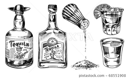 Tequila Bottles And Salt Shaker Glass Shots Stock Illustration