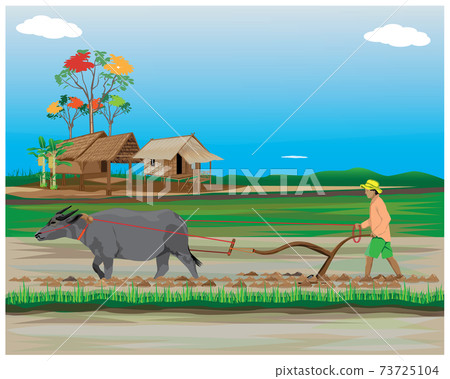 farmer work in paddy field vector design 스톡일러스트 73725104 PIXTA