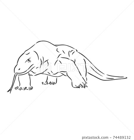 Hand Drawn Sketch Illustration Of Komodo Stock Illustration