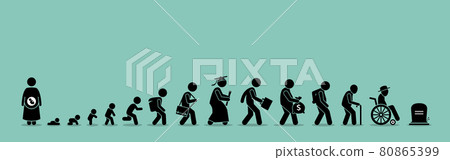 Life Cycle And Aging Process Stock Illustration 80865399 PIXTA