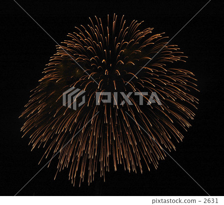 Niigata Katake fireworks display Niigata Katake fireworks display 2631