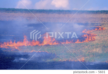 燃燒的田野 5601