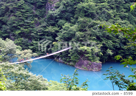 在峽谷的吊橋 在峽谷的吊橋 8599