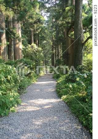 夏路 夏路 9223