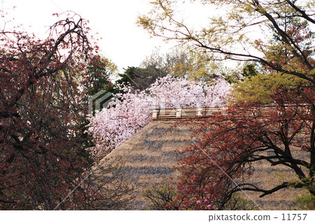 春天的黃昏 春天的黃昏 11757