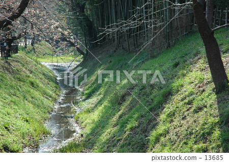 Mine Numata Rice · Spring Minamusuke Funabori 13685
