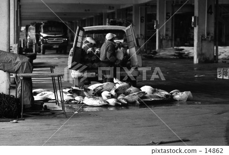 1964年1月在三浦半島和Misaki漁港的魚市 14862