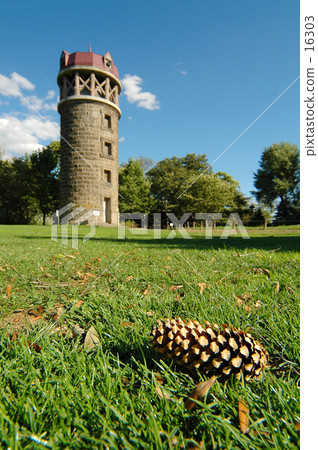 Fall grace Fall grace 16303